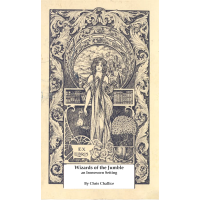 Wizards of the Jumble  (PDF)