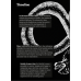 The Basilisk